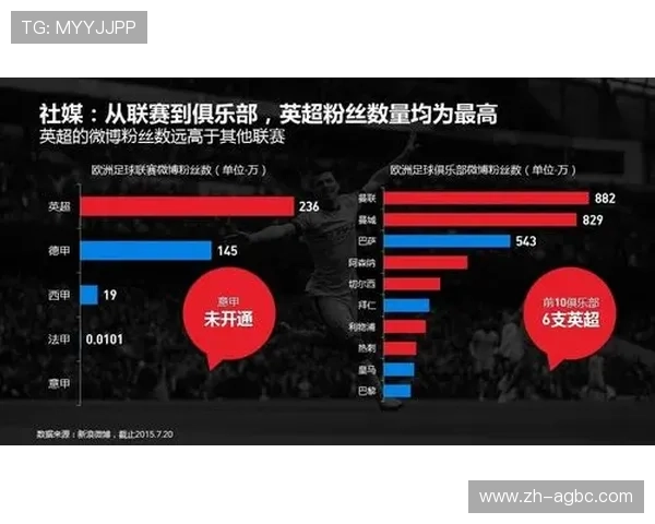 英超球员破产案例分析及经济管理建议 英超球员破产案例分析及经济管理建议