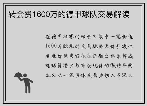 转会费1600万的德甲球队交易解读